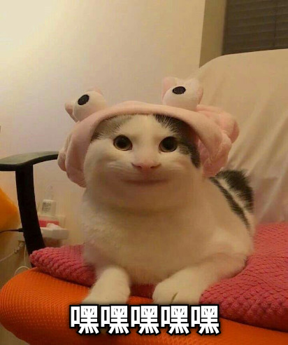 嘿嘿嘿嘿嘿