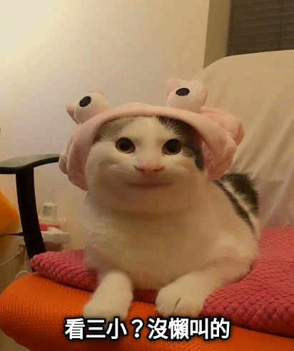 看三小？沒懶叫的