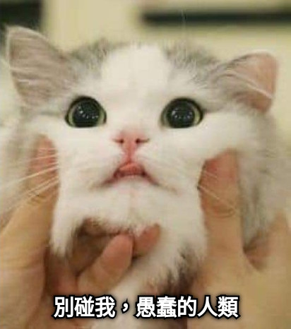 別碰我，愚蠢的人類