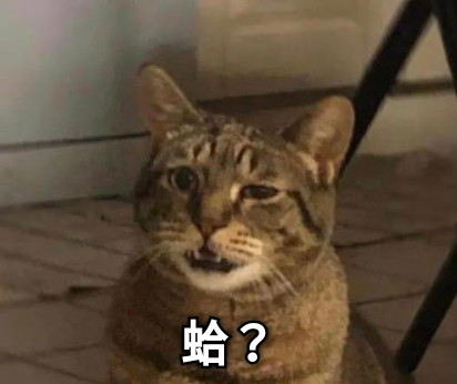 蛤？