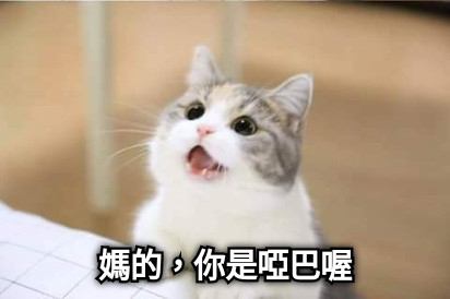 媽的，你是啞巴喔