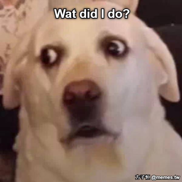 Wat did I do?