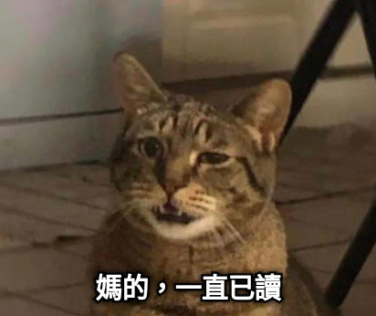 媽的，一直已讀