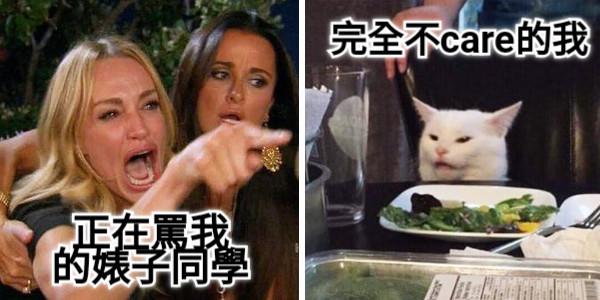 正在罵我 的婊子同學 完全不care的我