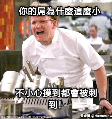 你的屌為什麼這麼小 不小心摸到都會被刺到！