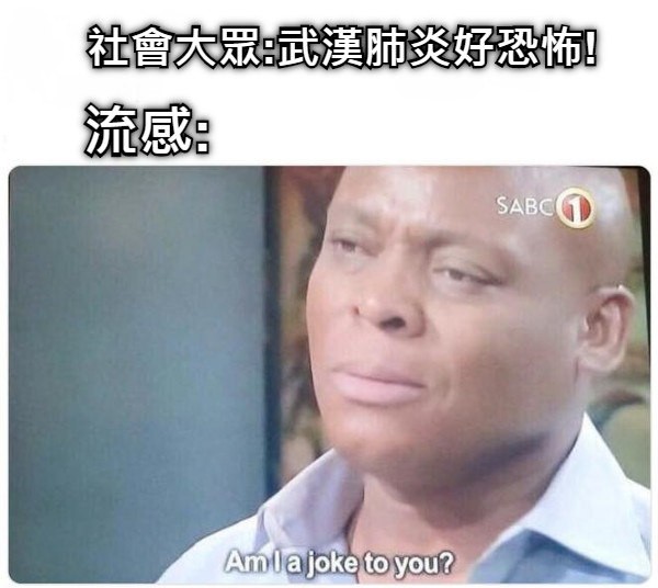 社會大眾:武漢肺炎好恐怖!      流感: