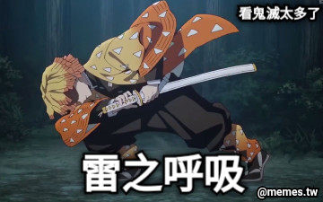 雷之呼吸 看鬼滅太多了