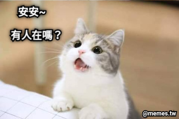 安安~ 有人在嗎？