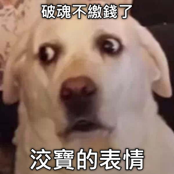 破魂不繳錢了 洨寶的表情