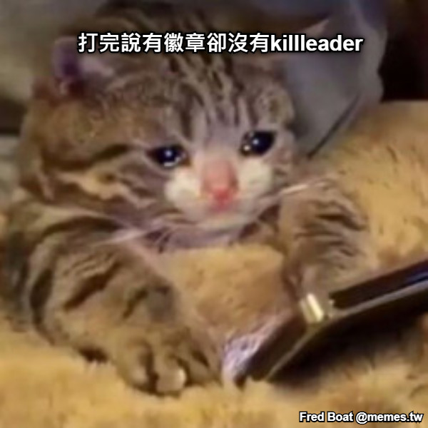 打完說有徽章卻沒有killleader