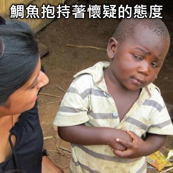 鯛魚抱持著懷疑的態度