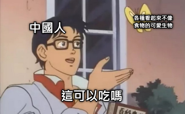 各種看起來不像食物的可愛生物 中國人 這可以吃嗎