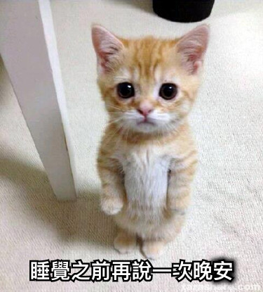 睡覺之前再說一次晚安