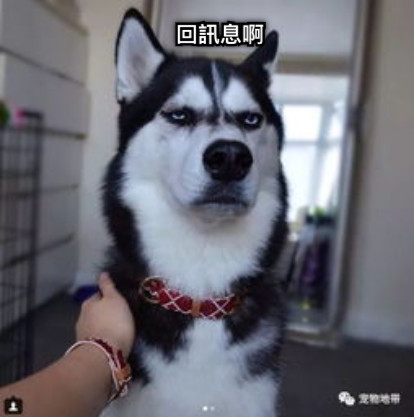 回訊息啊