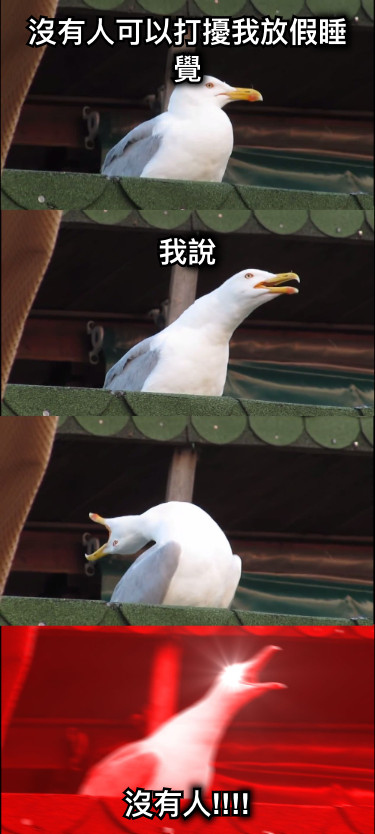 沒有人可以打擾我放假睡覺     我說 沒有人!!!!