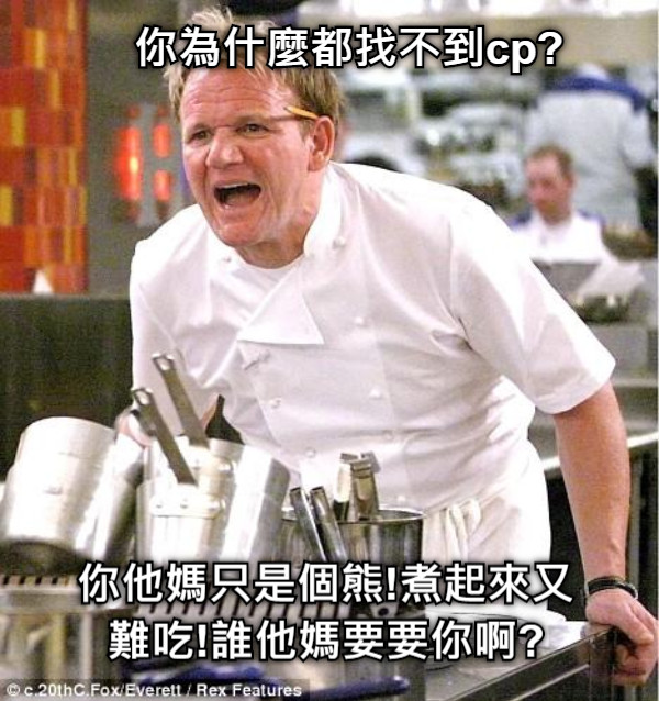 你為什麼都找不到cp? 你他媽只是個熊!煮起來又難吃!誰他媽要要你啊?