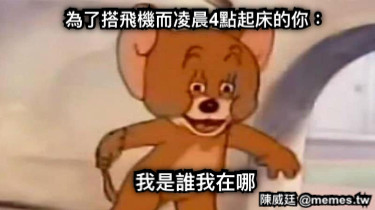 為了搭飛機而凌晨4點起床的你： 我是誰我在哪