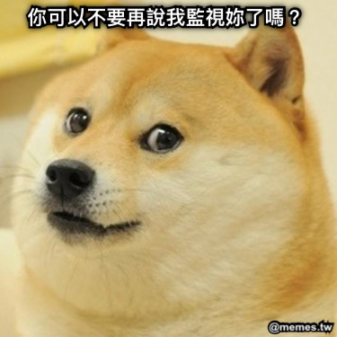 你可以不要再說我監視妳了嗎？