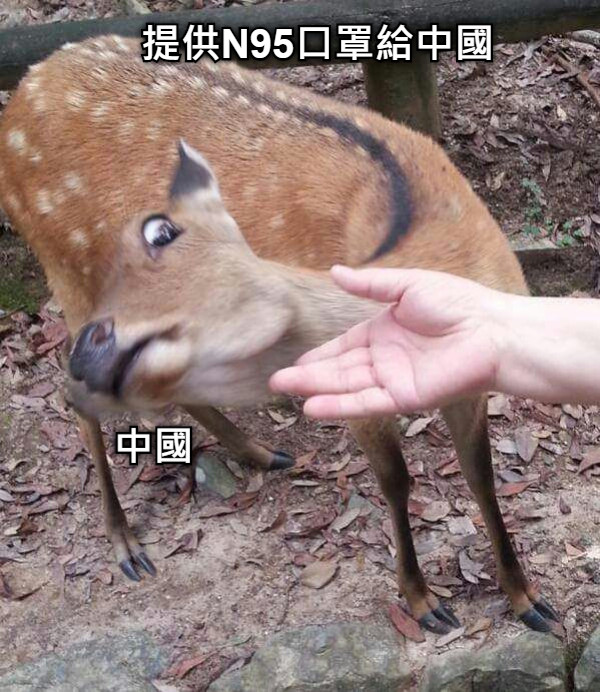 提供N95口罩給中國 中國