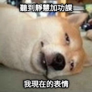 聽到靜慧加功課 我現在的表情