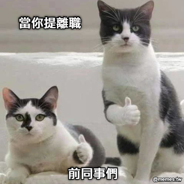 當你提離職 前同事們