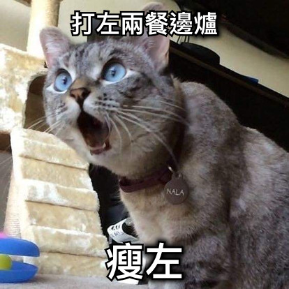 打左兩餐邊爐 瘦左