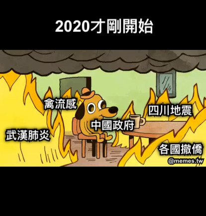 中國政府 武漢肺炎 四川地震 禽流感 各國撤僑 2020才剛開始