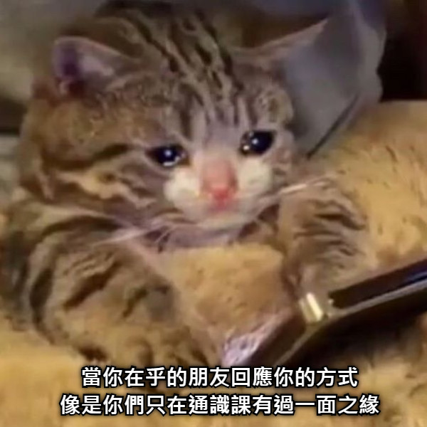 當你在乎的朋友回應你的方式 像是你們只在通識課有過一面之緣