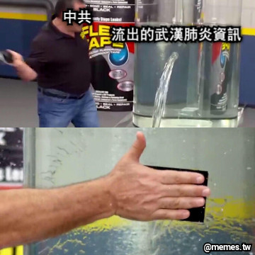 中共 流出的武漢肺炎資訊