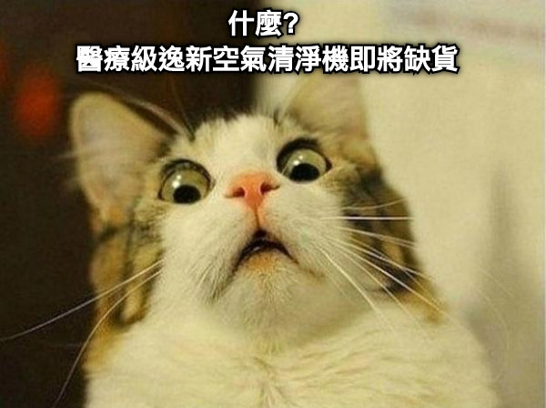 什麼?  醫療級逸新空氣清淨機即將缺貨
