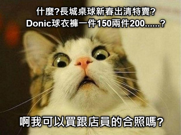 什麼?長城桌球新春出清特賣? Donic球衣褲一件150兩件200......? 啊我可以買跟店員的合照嗎?