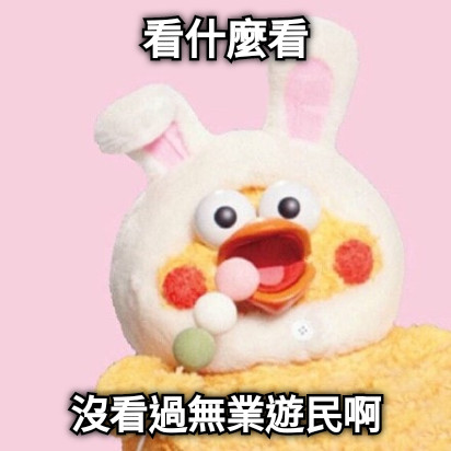 看什麼看 沒看過無業遊民啊