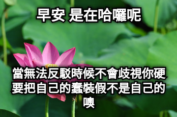 早安 是在哈囉呢 當無法反駁時候不會歧視你硬要把自己的蠢裝假不是自己的噢