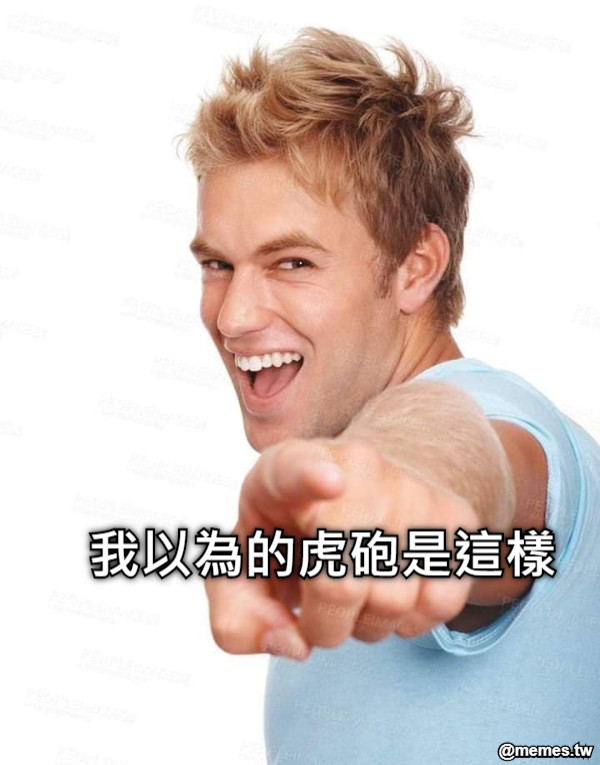 我以為的虎砲是這樣