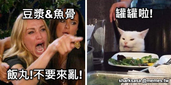 飯丸!不要來亂! 豆漿&amp;魚骨 罐罐啦!