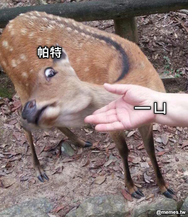 一ㄩ 帕特