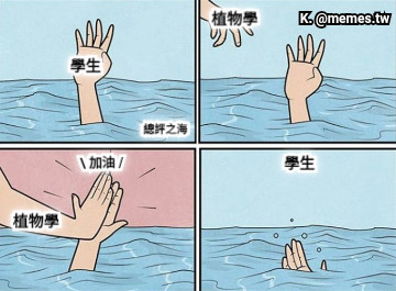 學生 總評之海 植物學 植物學  加油 / 學生