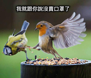 我就跟你說沒賣口罩了