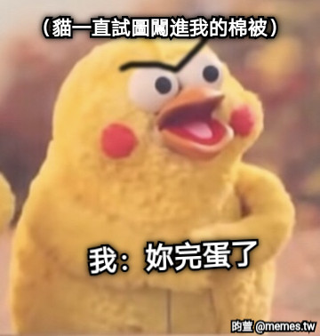 （貓一直試圖闖進我的棉被） 我：妳完蛋了