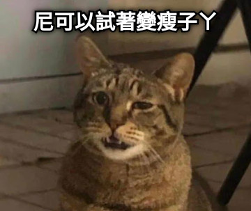 尼可以試著變瘦子ㄚ