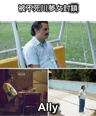 被不死川夢女封鎖 Ally