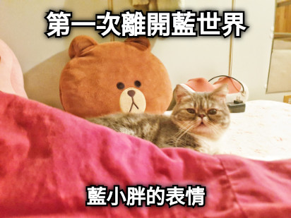 第一次離開藍世界 藍小胖的表情