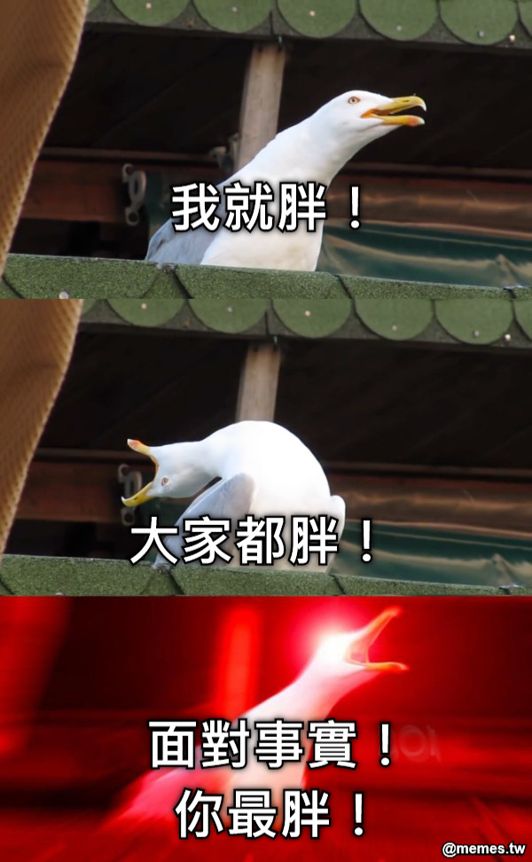 我就胖！ 大家都胖！ 面對事實！ 你最胖！