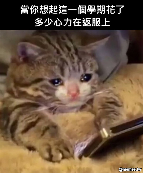 當你想起這一個學期花了多少心力在返服上