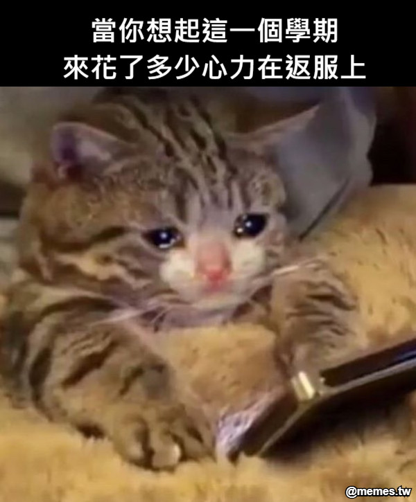 當你想起這一個學期 來花了多少心力在返服上