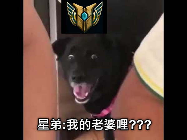 星弟:我的老婆哩???