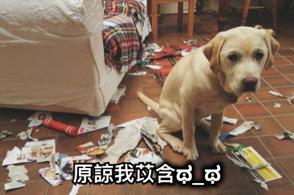 原諒我苡含ಥ_ಥ