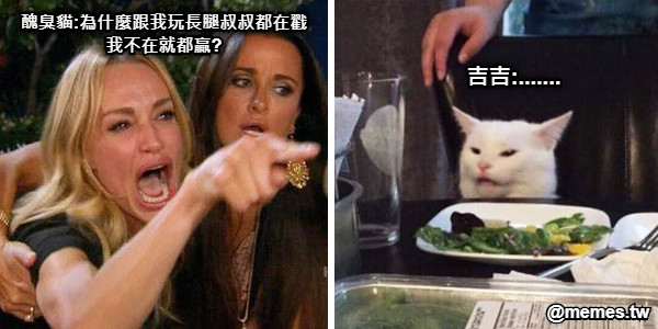 醜臭貓:為什麼跟我玩長腿叔叔都在戳 我不在就都贏? 吉吉:.......