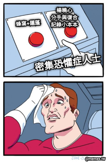 蜂窩+蓮蓬 密集恐懼症人士 楊曉心 分手與復合 記錄小本本