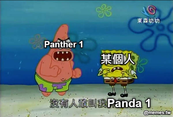 Panda 1 Panther 1 某個人